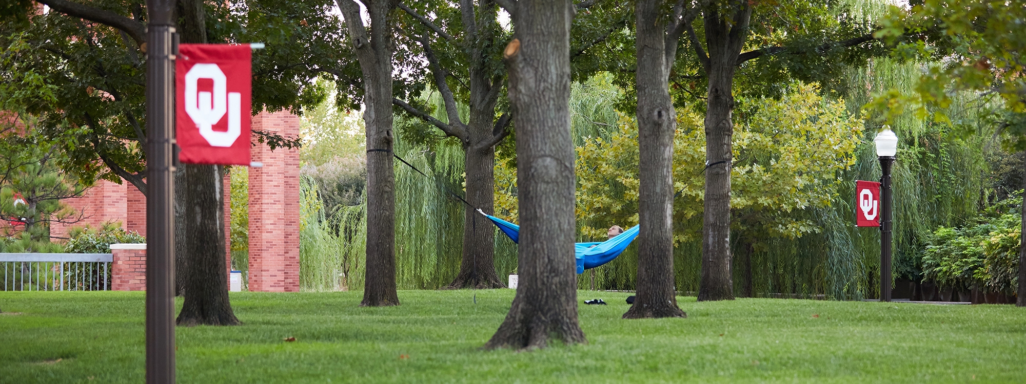 Student lounging in a hammock near the Bizzell Library Clock Tower.
