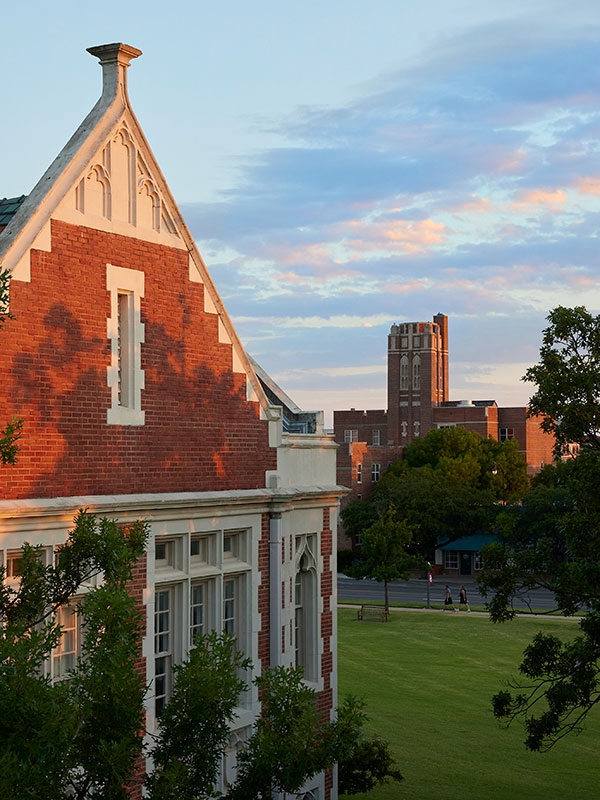 Top of a brick building facing east into the sunset.