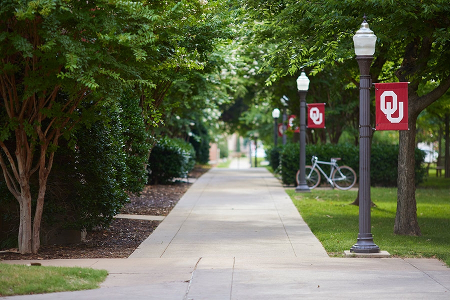 OU Norman campus walkway with trees and lamp posts with an OU flag alongside
