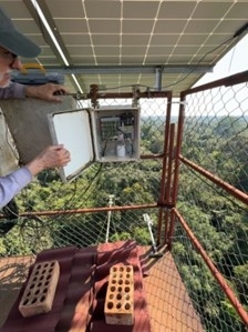 A researcher working with scientific equipment in a flux tower.