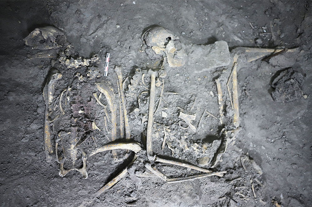 photo of the skeletal remains as they were uncovered onsite