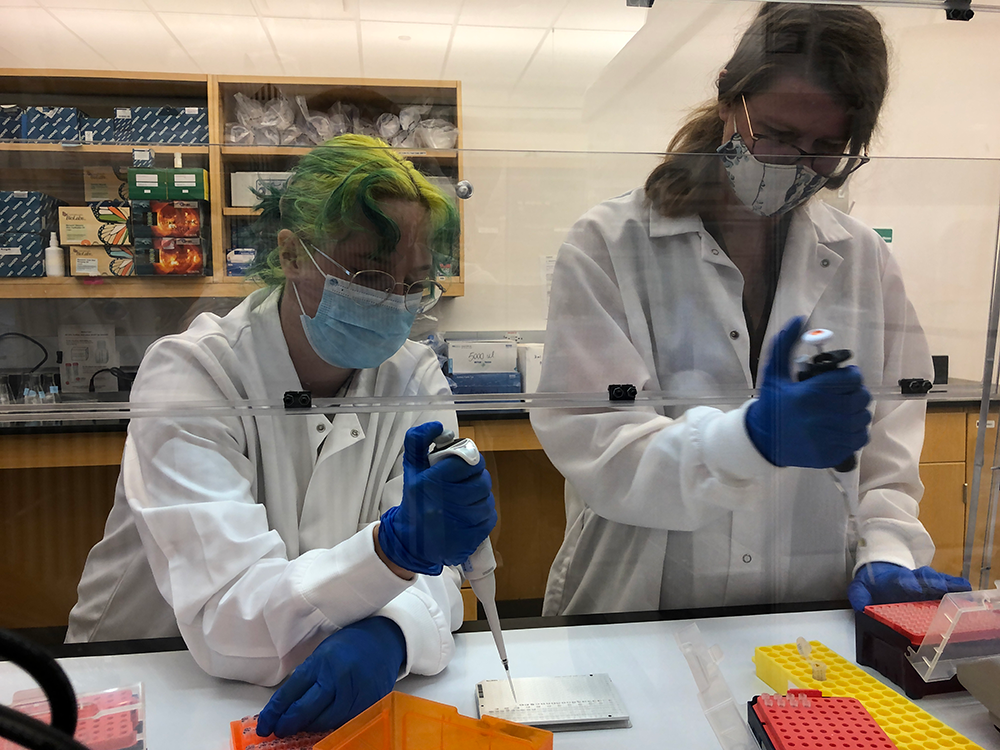 Hoffman and Hughes prepare DNA samples for testing in a lab setting