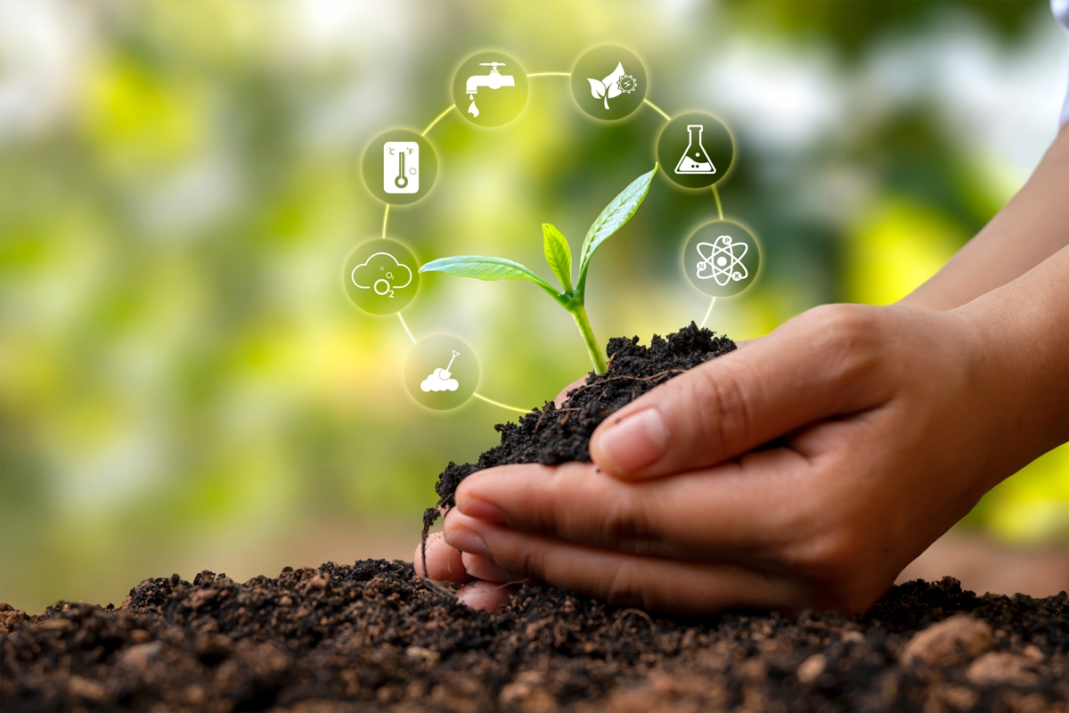 tree growing on soil in human hands and plant growth factor icon plant growth concept and plant essential nutrients tree growing on soil in human hands and plant growth factor icon plant growth concept and plant essential nutrients