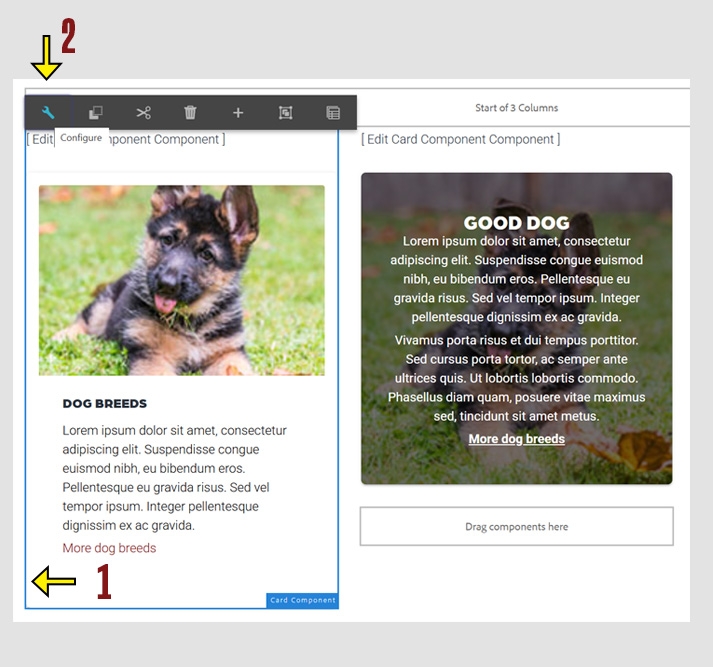 CMS screen showing two card components on a page. One is highlighted with a blue box, indicating that it has been chosen. The configure toolbar with a wrench icon appears above it.