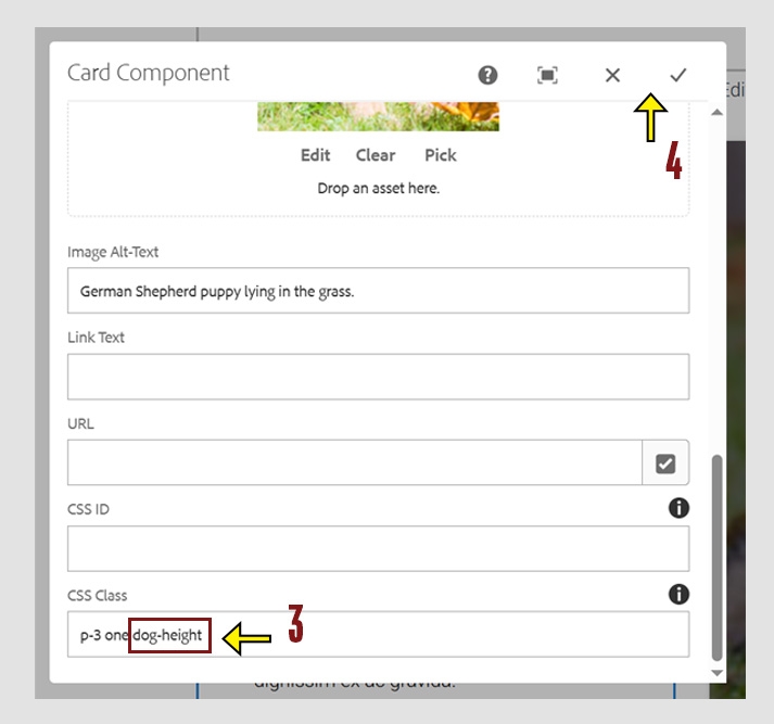Additional configuration options for the card component showing sample CSS class of "Dog-Height" and an arrow pointing to the check mark to save changes.
