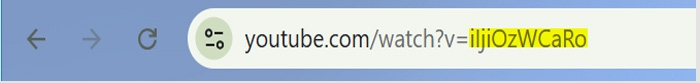 A web browser address bar showing a YouTube URL, highlighting where to find the ID. It is located after the v=.
