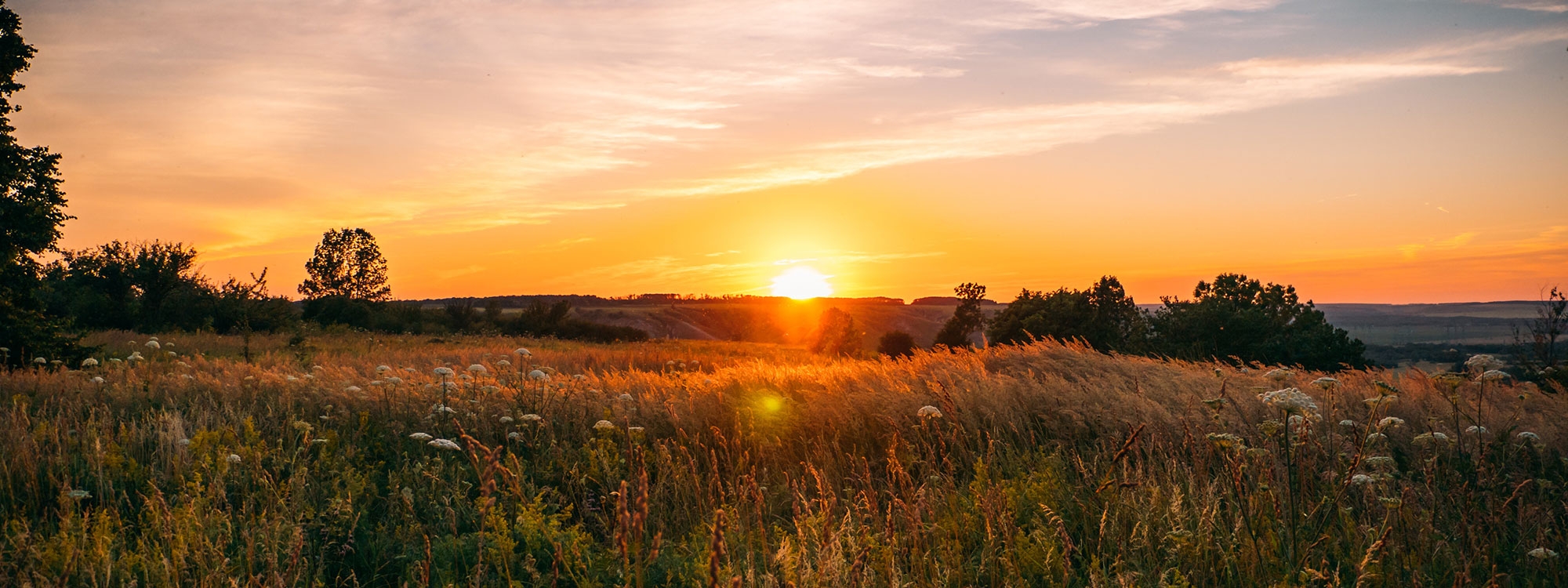 Sunset over a field.