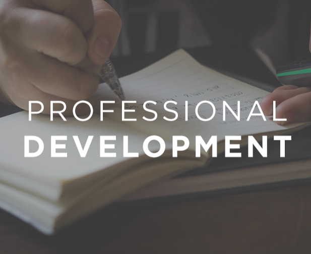 PROFESSIONAL DEVELOPMENT.