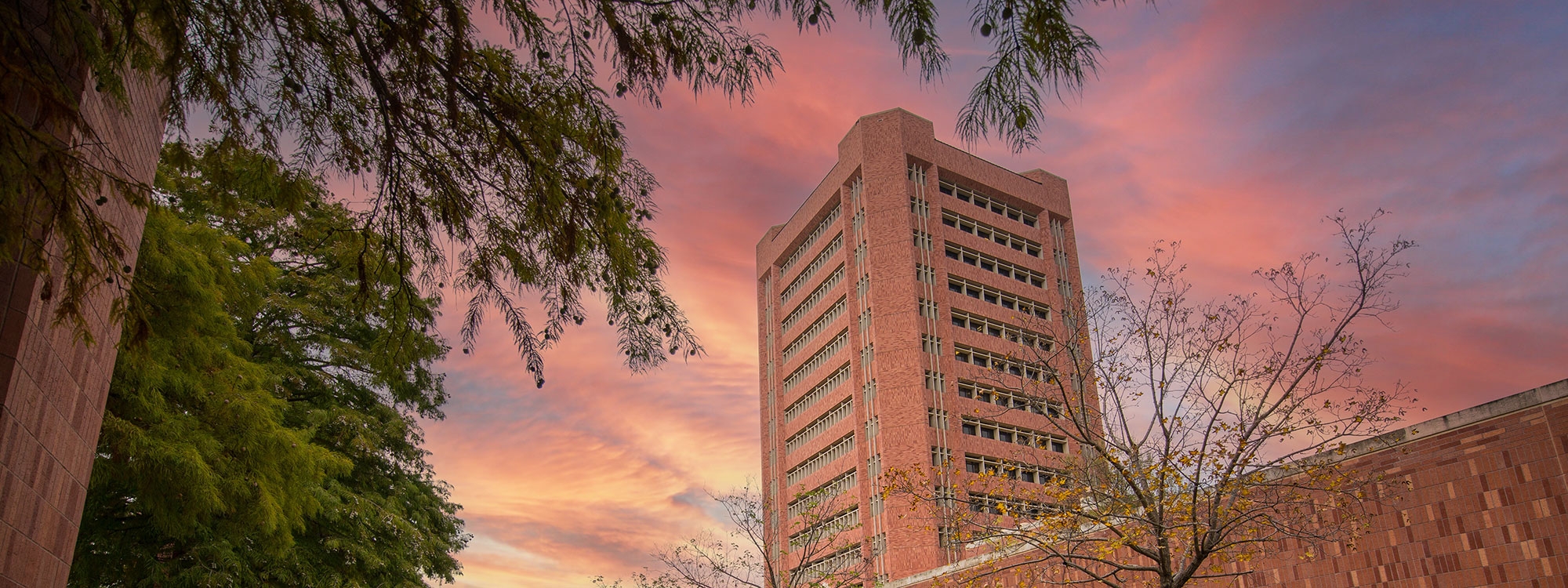 Sarkeys Energy Center at sunset, surrounded by trees.