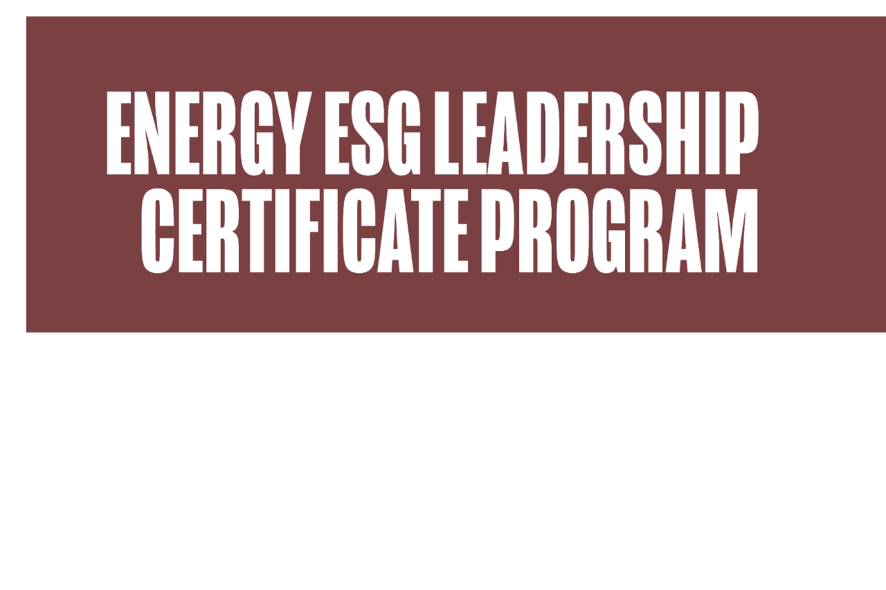 Energy ESG Leadership Certificate Program
