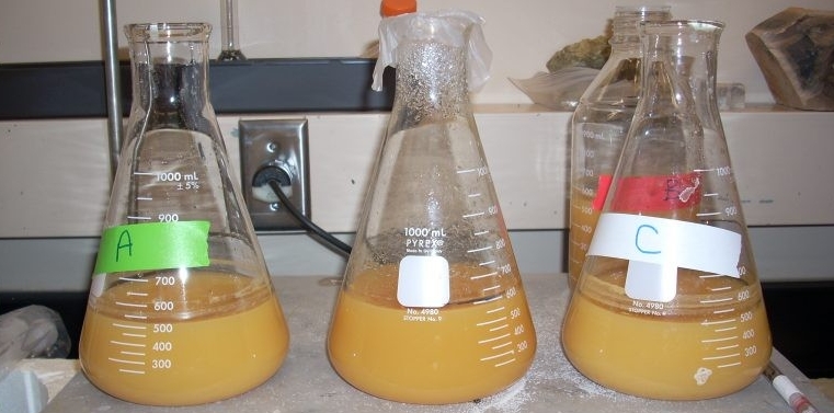 three chemistry flasks filled with brine