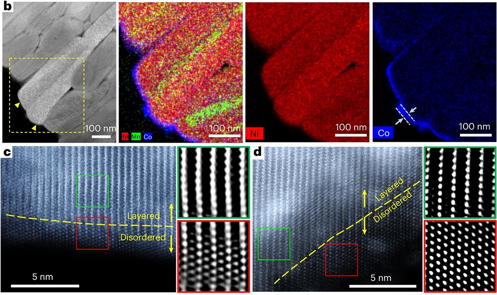 b–d, TEM–EDS maps (b) and HAADF STEM (c,d) with Fourier-filtered images of the F–Co-washed cathode surface at the marked regions in panel b by yellow marks, respectively.