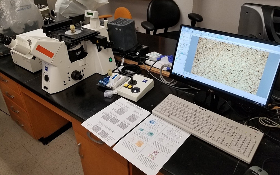 Zeiss Axiovert 200M Image of Zeiss Axiovert 200M microscope with metal sample showing on the screen.