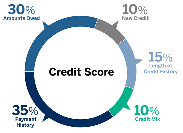 credit score makeup graphic