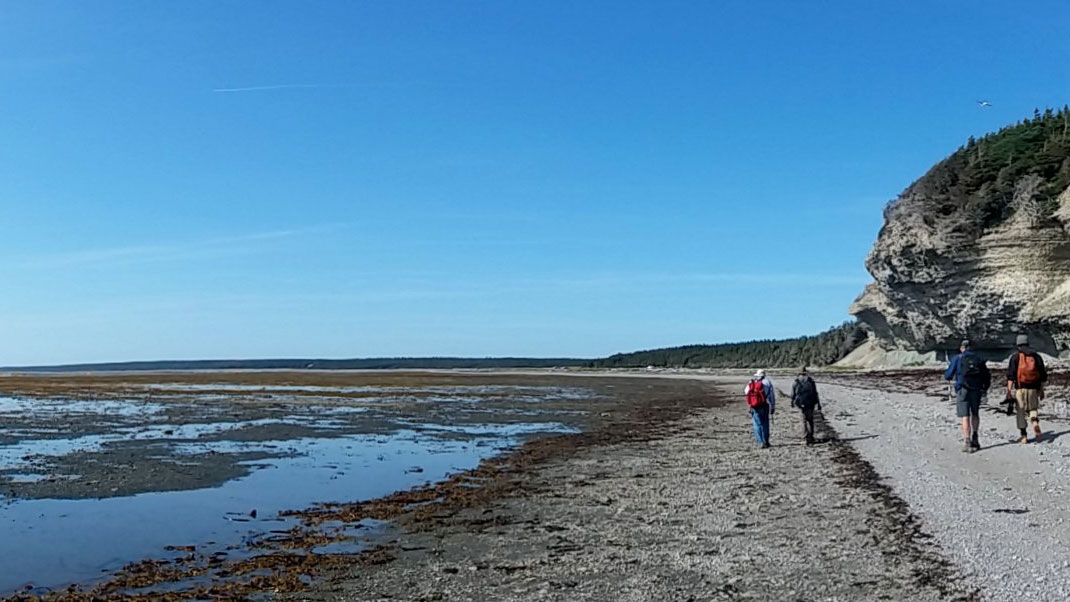 Anticosti Island in Canada.