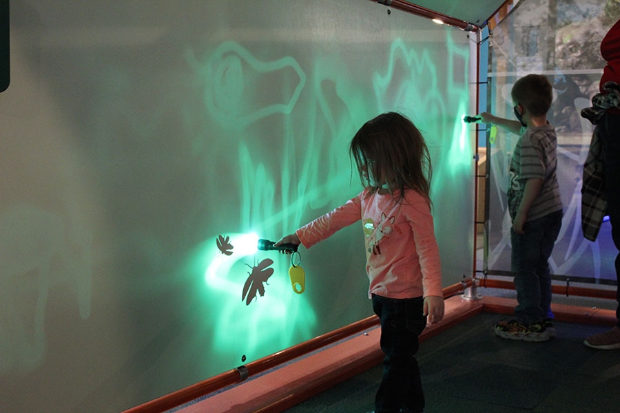 A child holding a flashlight up to a screen searching for insects.