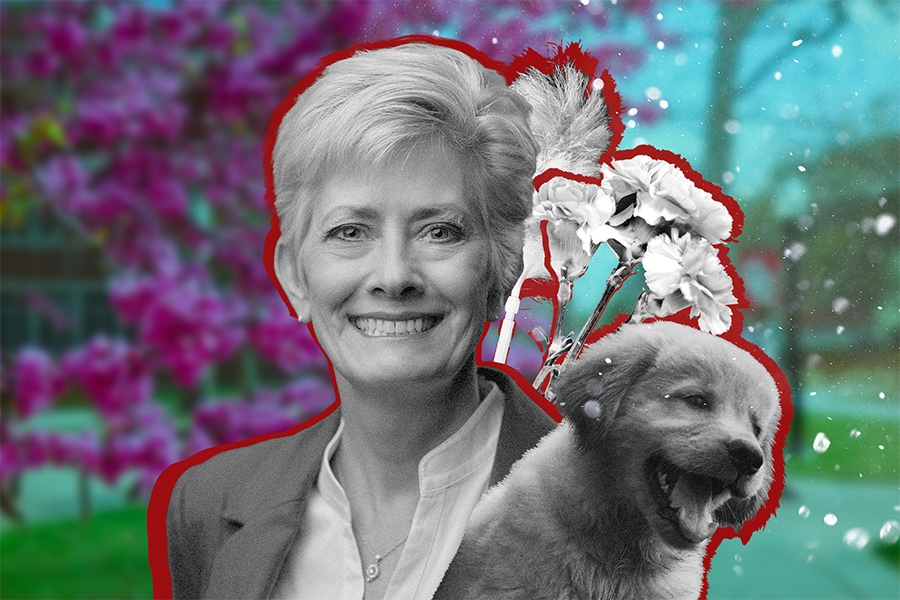Collage of a woman, a puppy, and flowers overtop a vibrant, colorful floral background.