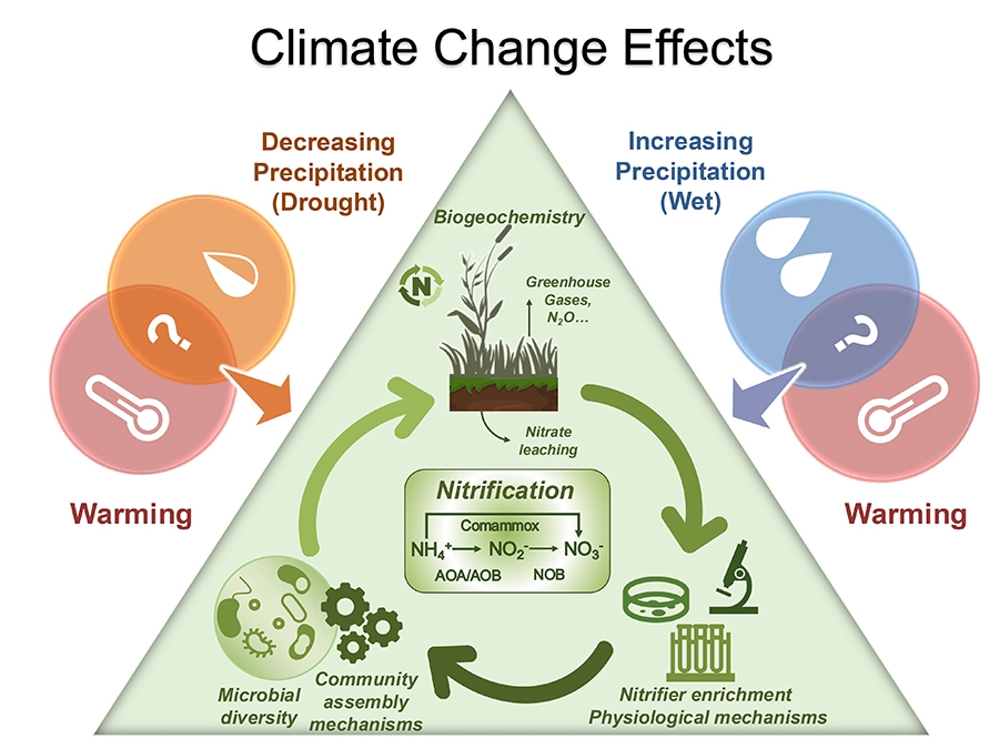 Diagram depicting how rainfall impacts climate warming.
