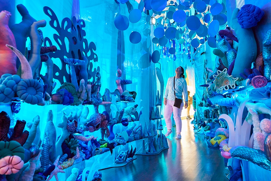 Photo of person walking through exhibit at Fred Jones Museum.