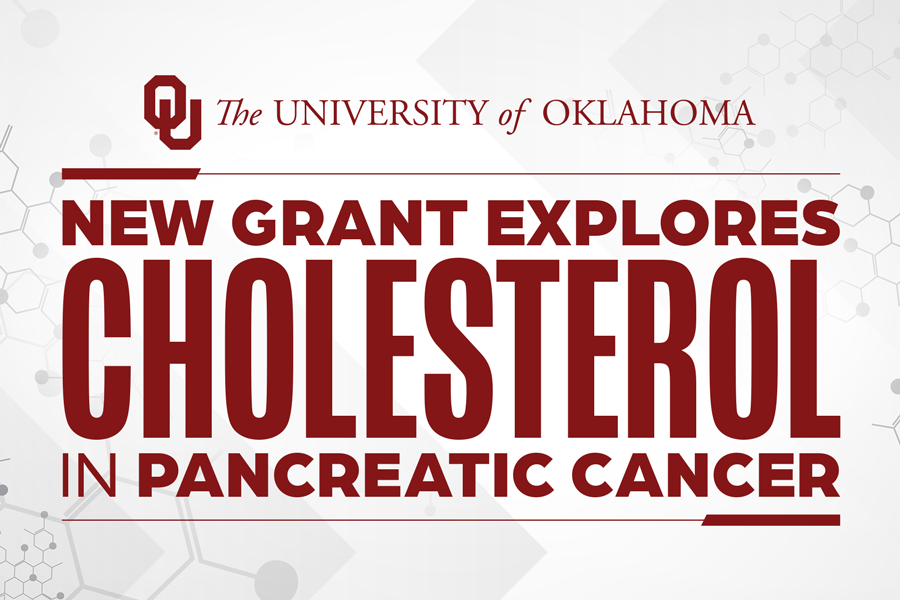 A white background with the words "new grant explores cholesterol in pancreatic cancer" in red.