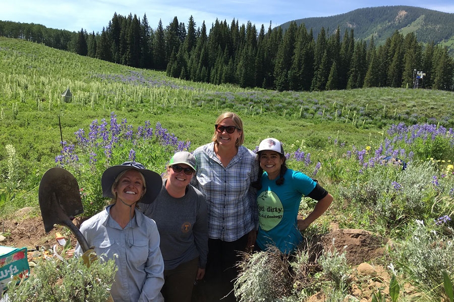 Place your image here. Please ensure that your image upload meets all of these requirements: Image dimensions, 900 by 600 pixels; file type, jpeg or jpg; file size, maximum of 300kb. Overlaying crimson and white stripes.