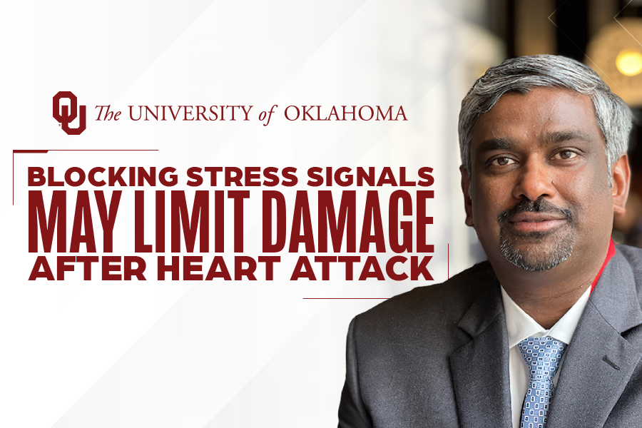 Graphic that reads "Blocking stress signals may limit damage after heart attack."