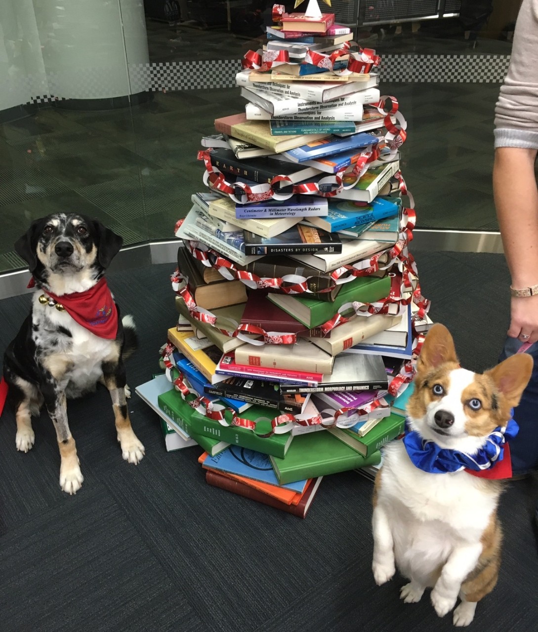 Jessie (left) and Wynree (right) visit the National Weather Center Library in December 2015.