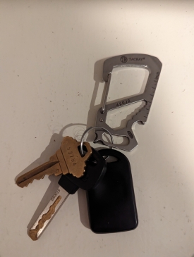 Carabiner with keys attached on a white background.