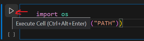 visual studio code python jupiter notebook execute a code cell