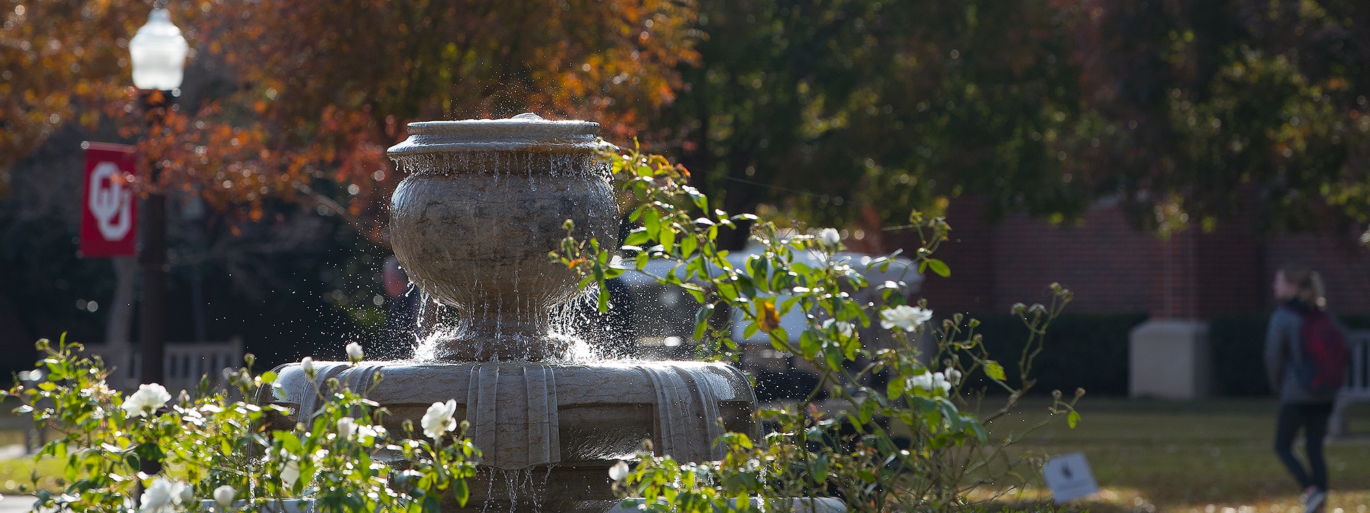 A water fountain surrounded by trees and plants on the O U Norman campus.