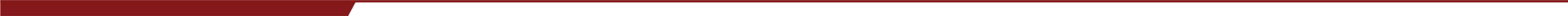 Stylized crimson divider line.