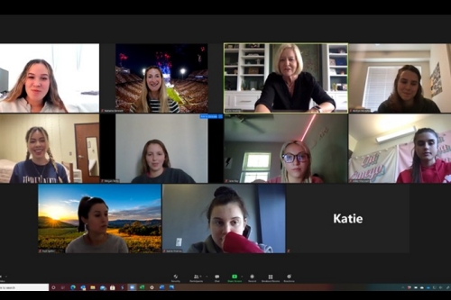 Screen capture of WISE meeting taking place via Zoom