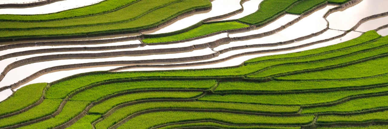 Aerial photo of rice terraces