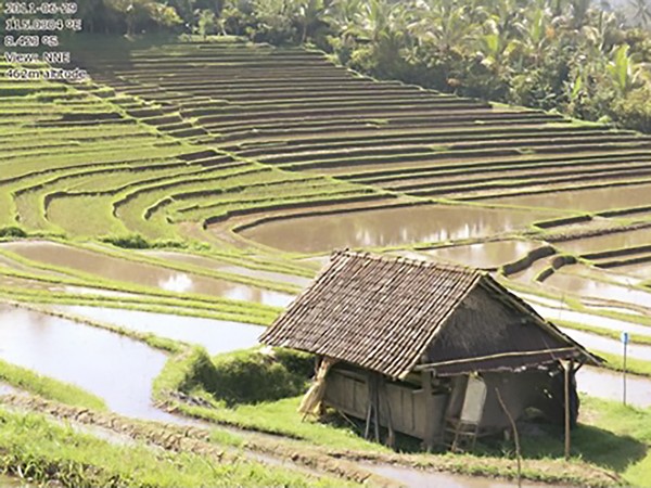 building among the rice patties
