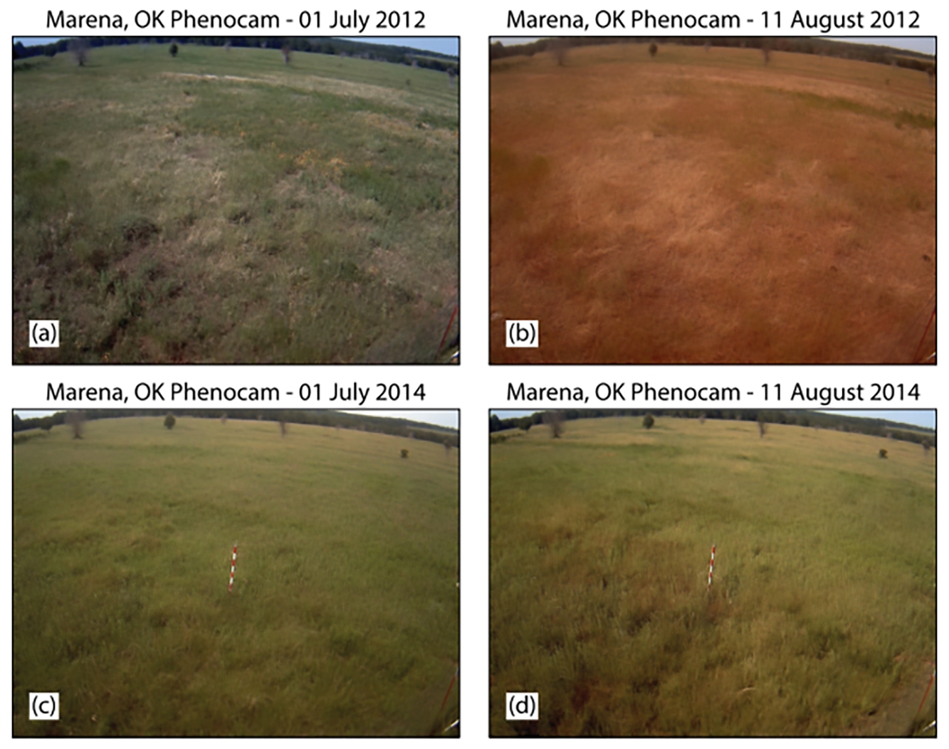A figure showing the impact of a flash drought on a grassland in Oklahoma. The photos on the top row show the impact of the flash drought on the ecosystem compared with photos of the same area without flash drought impacts (bottom row).