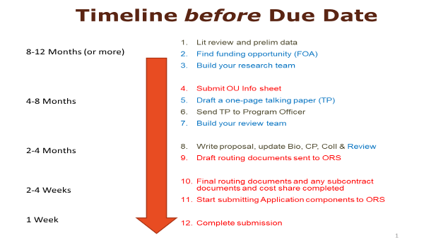 Proposal Process Timeline
