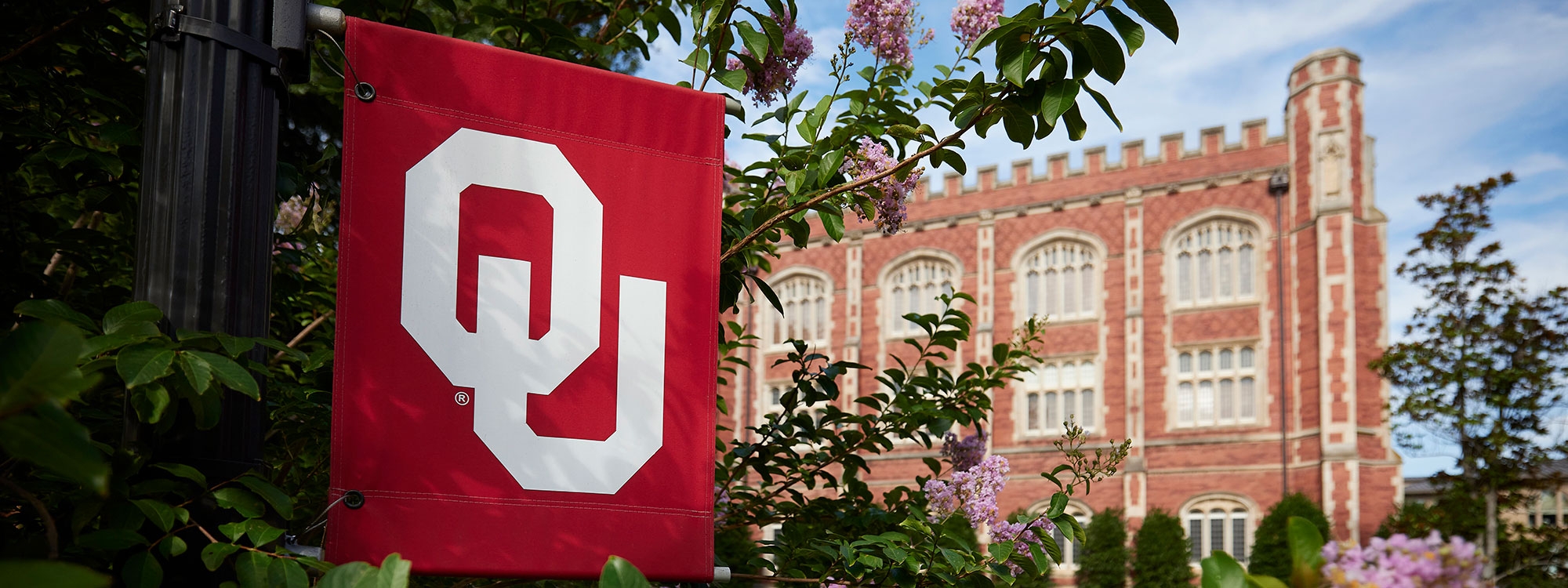 An OU flag on lampost surrounded by plants in front of brick building.