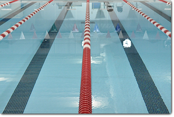 pool with lap lines