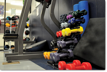 rack of colorful dumbbell weights