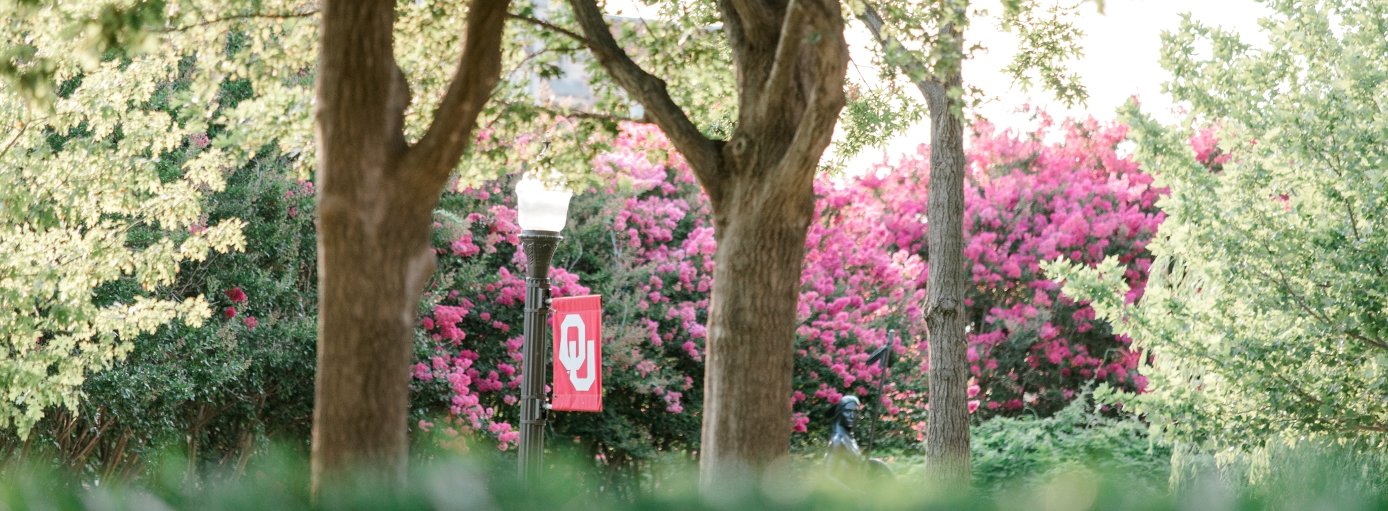 OU flag in front of Evans Hall
