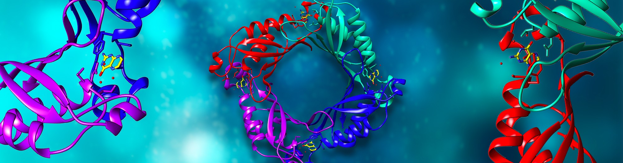 3D Rendering of a protein