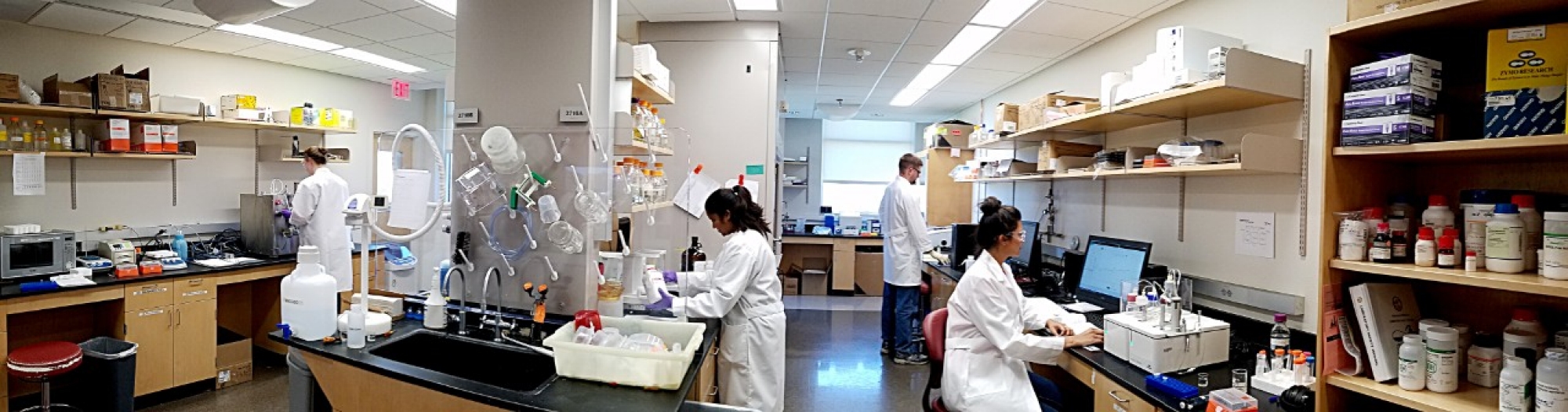 Scientists working in the PPC laboratory