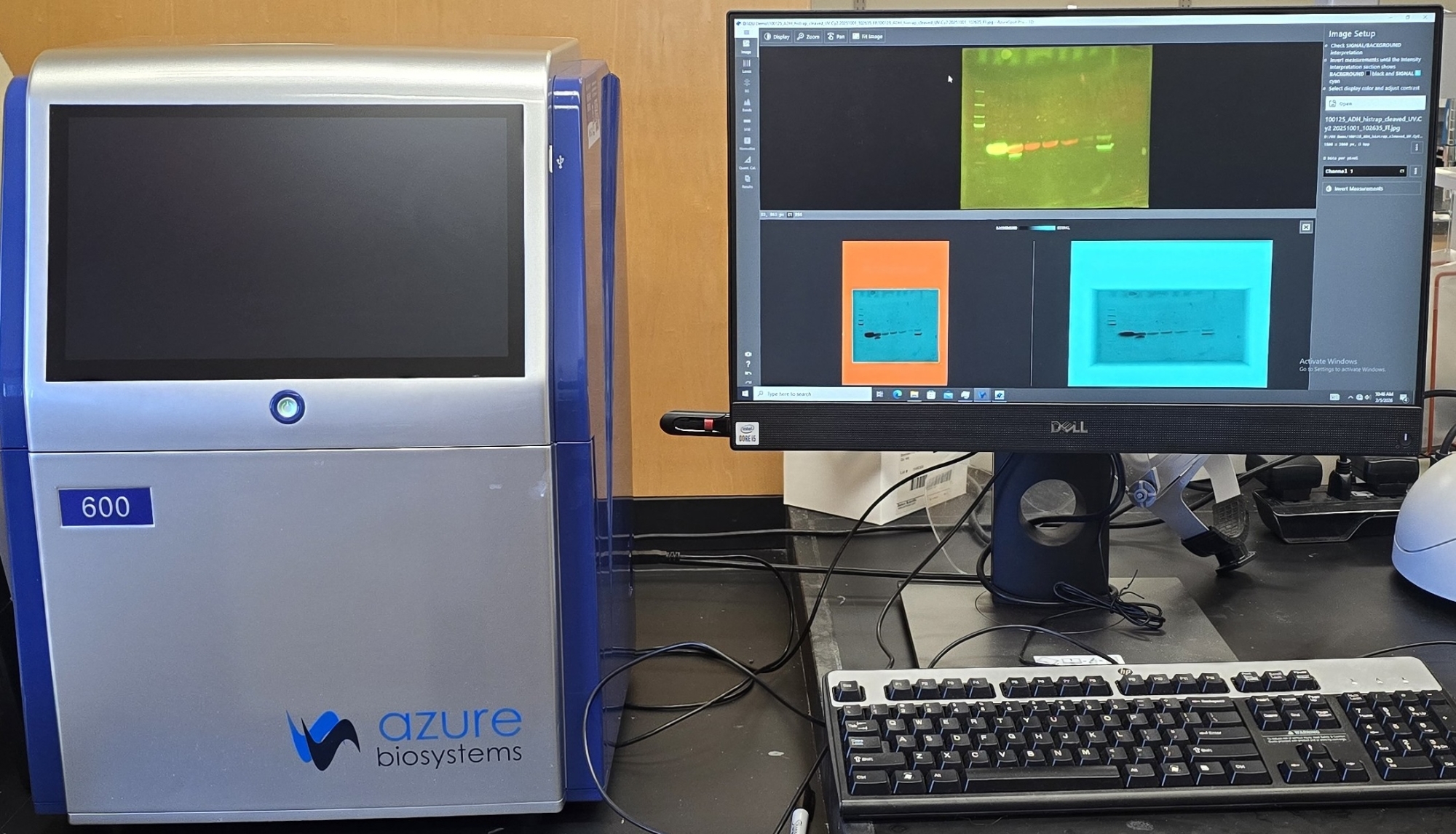 Photo of azure imaging system and computer showing images of gels