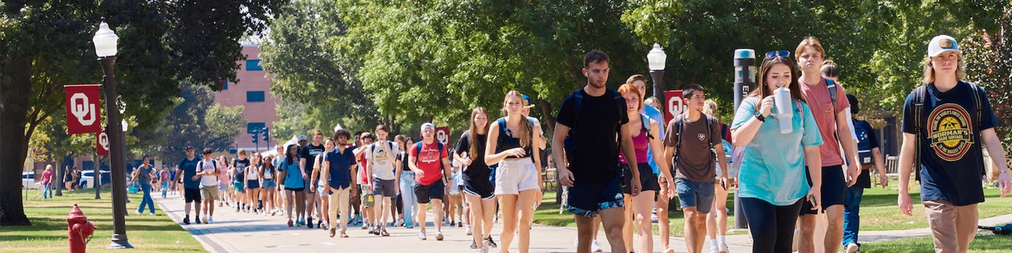 Students walking on the South Oval on a sunny day. 