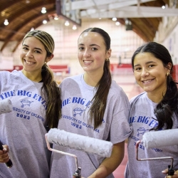 Image placeholder. Silhouette on green background.