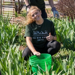 Image placeholder. Silhouette on blue background.