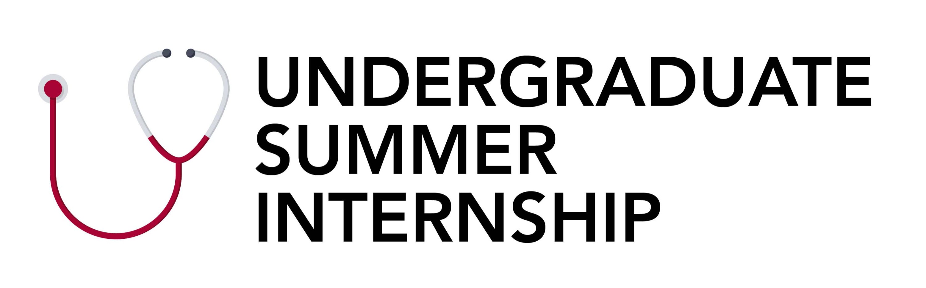 Undergraduate Summer Internship