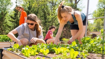OU-Tulsa SCM students tending the community garden