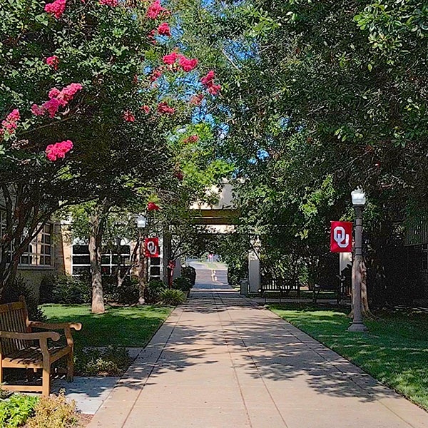 Tulsa Campus Lane, surrounded by trees and lampposts with O U flags.