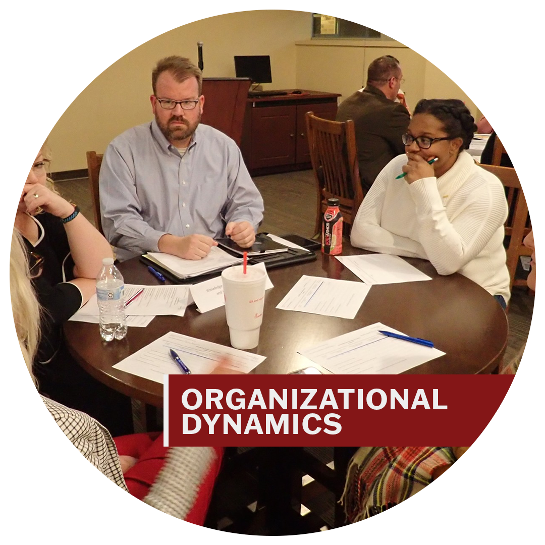 Link to Master of Organizational Dynamics information